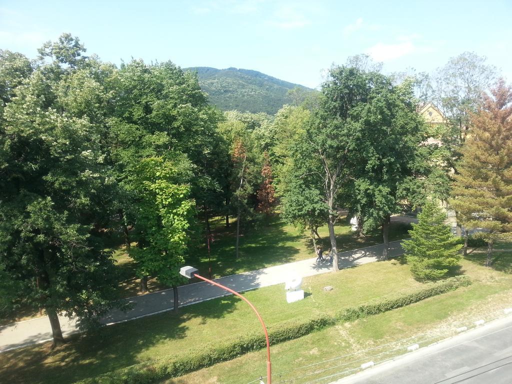 Park Srce Apartments Arandjelovac Δωμάτιο φωτογραφία